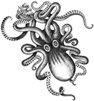 Avatar du membre