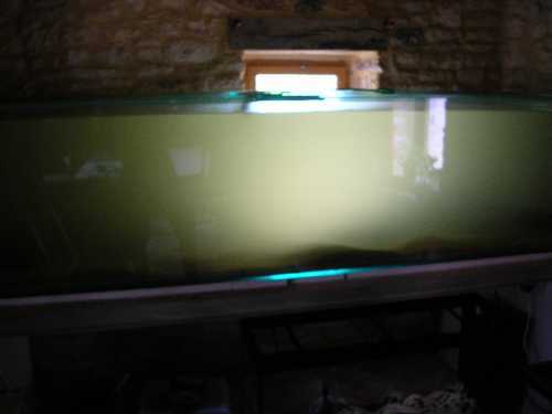 bac opaque.jpg