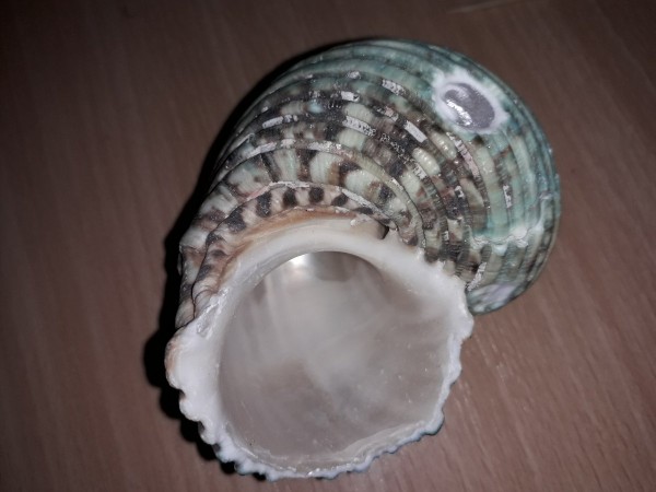 20190126_140027.jpg