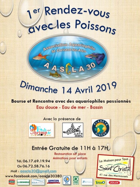 1er rendez-vous avec les poissons.jpg