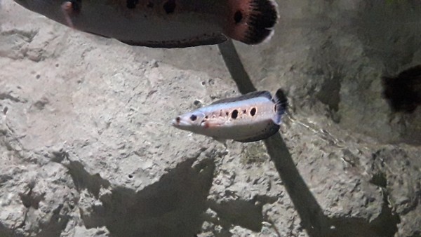 20190330_151923.jpg