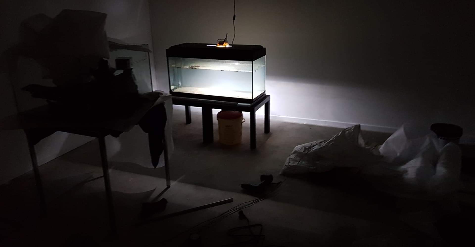 received_401654003761640.jpeg
