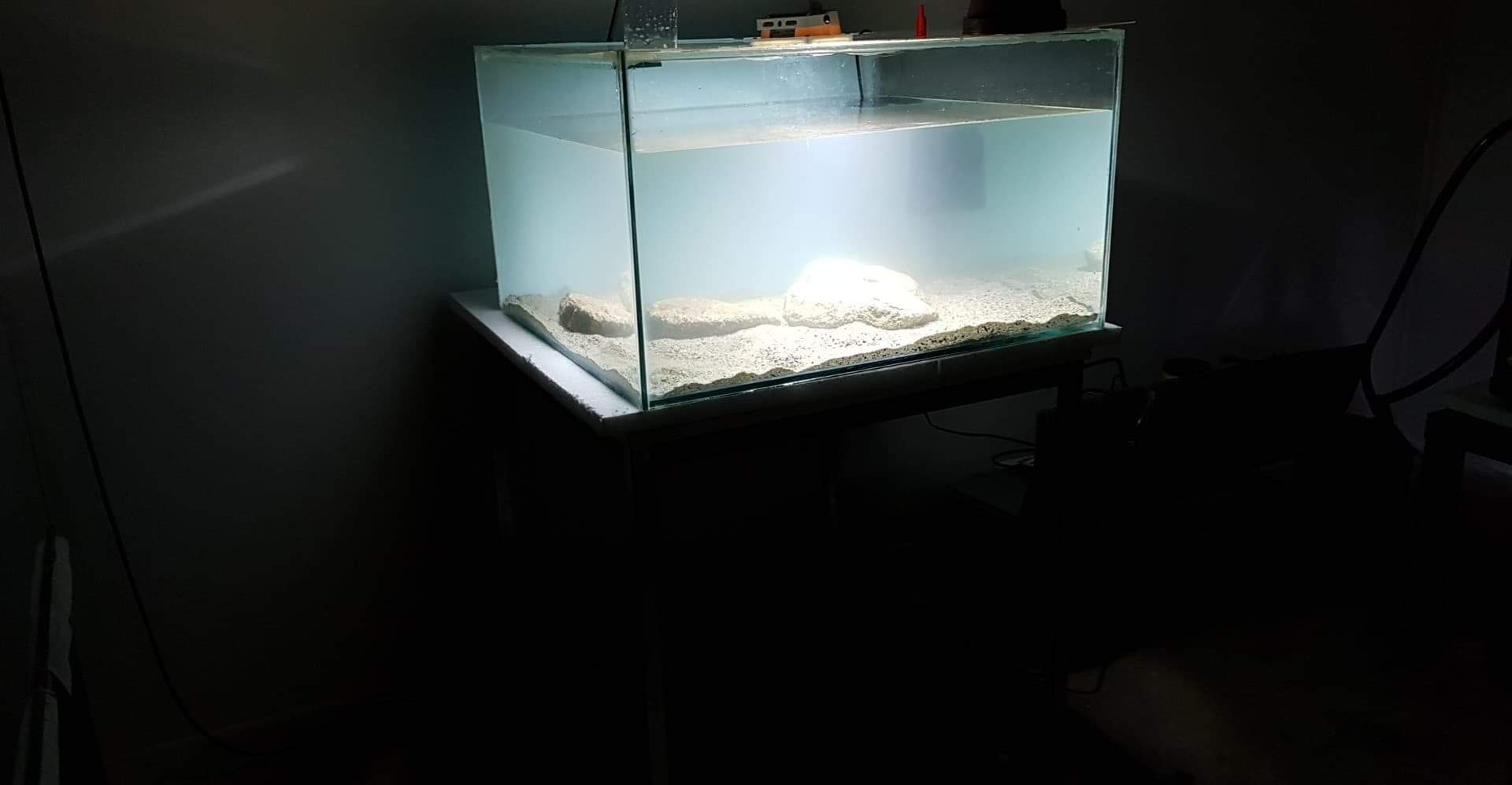 received_2371821806423844.jpeg