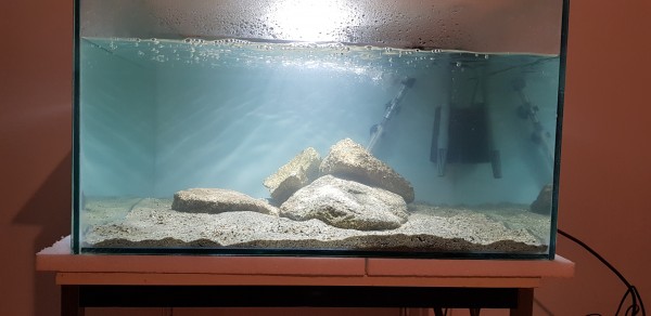 20190701_201037.jpg