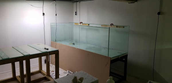 20190723_191728.jpg
