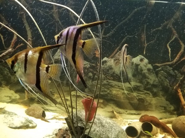 20191106_212530.jpg