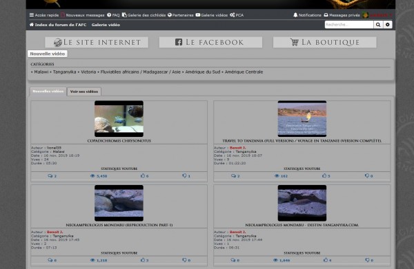 galerieyoutube.JPG
