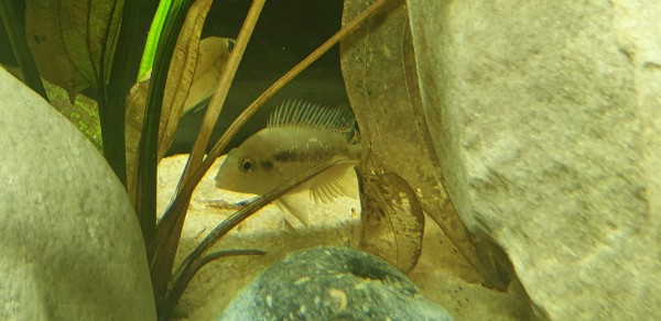 20191202_205410.jpg