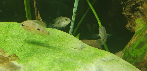 20191202_205436.jpg