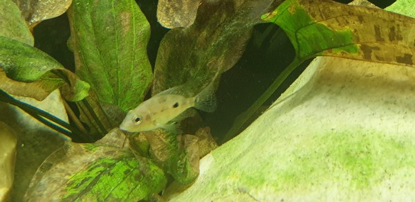 20191202_205515.jpg