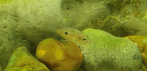 20191202_205523.jpg