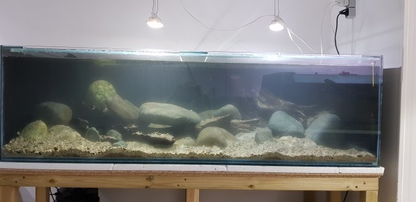 20191209_175731.jpg