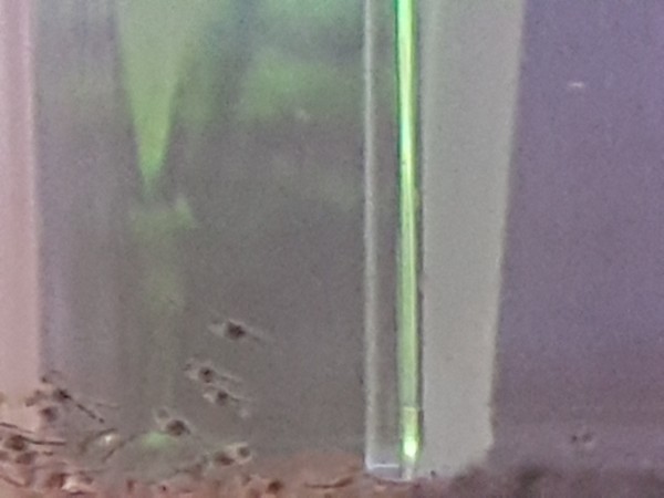 20191213_220434.jpg