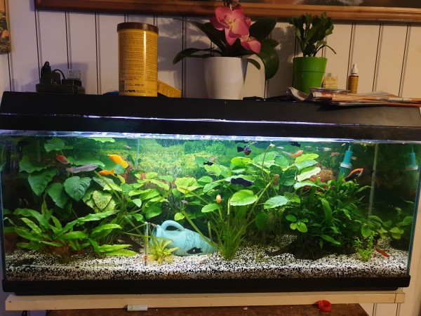 Mon 120L exotique