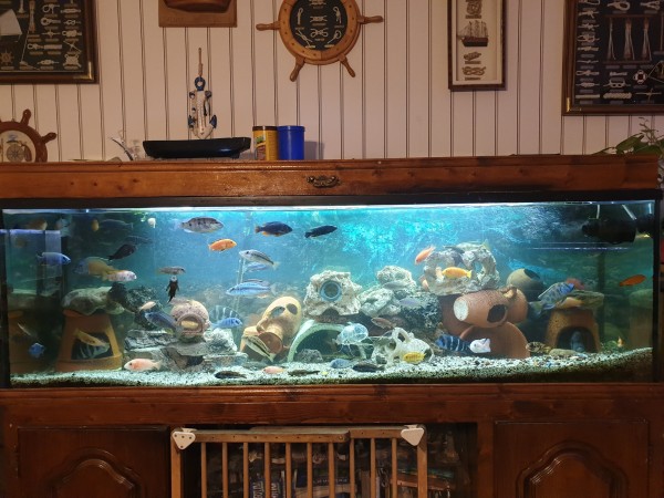 Mon 600l
