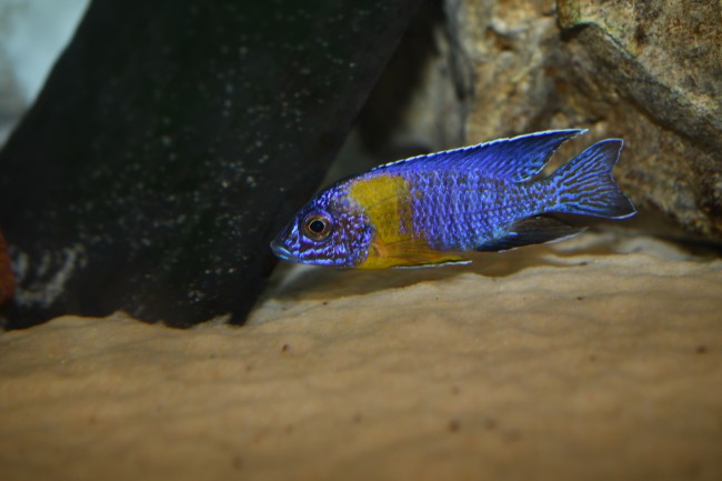 DSC_7563.JPG