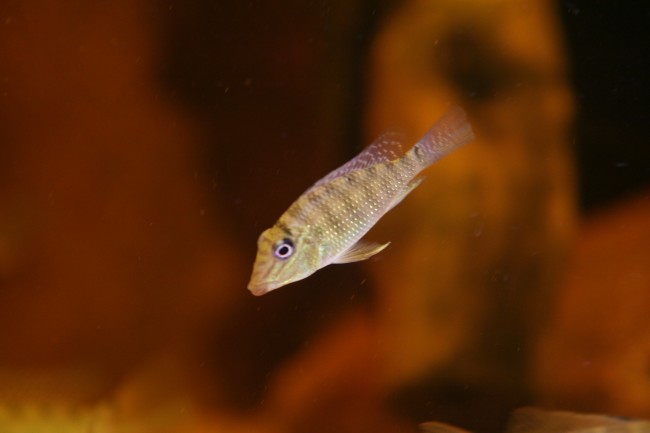 IMG_4781.JPG