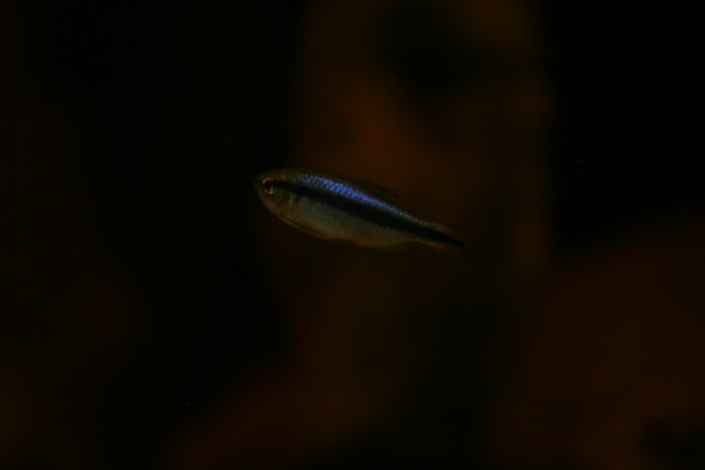 IMG_4786.JPG