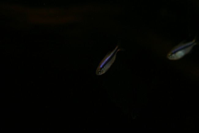 IMG_4805.JPG