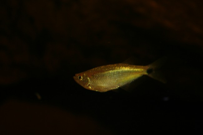 IMG_4860.JPG