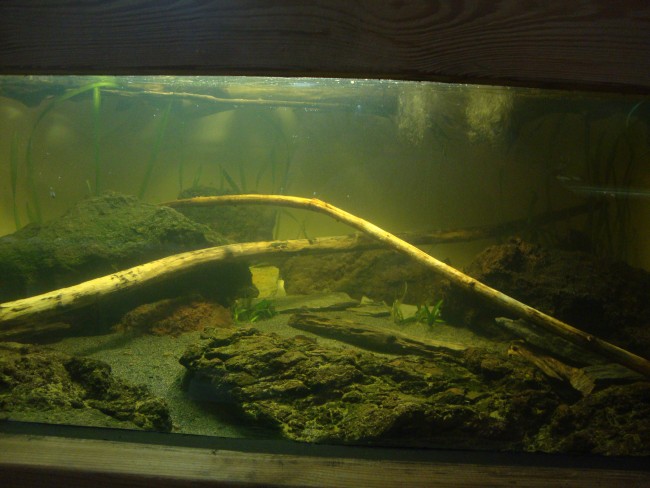 DSC06176.JPG