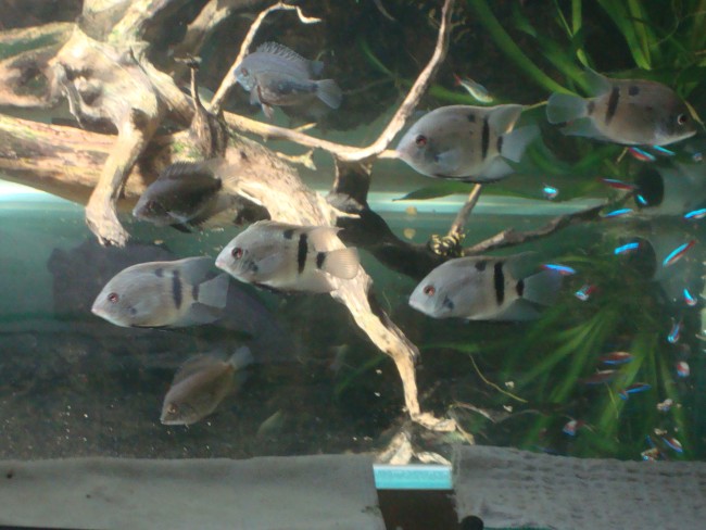 DSC06438.JPG