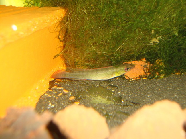 DSC06883.JPG