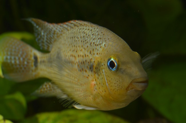 DSC_0004.JPG