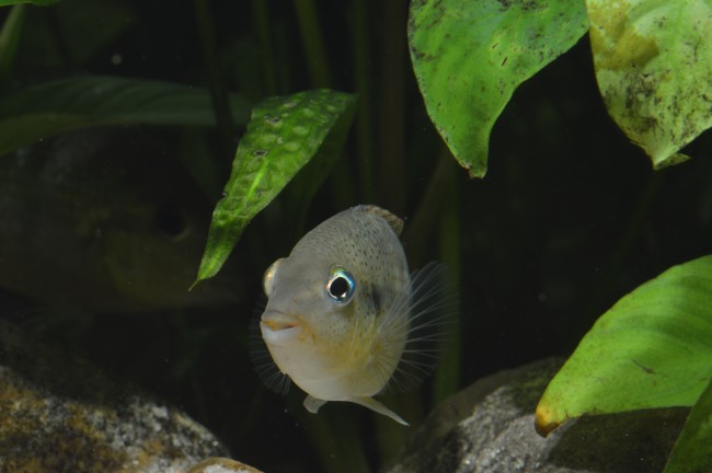 DSC_0123.JPG