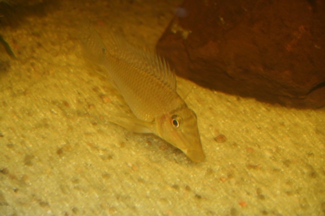 IMG_5226.JPG