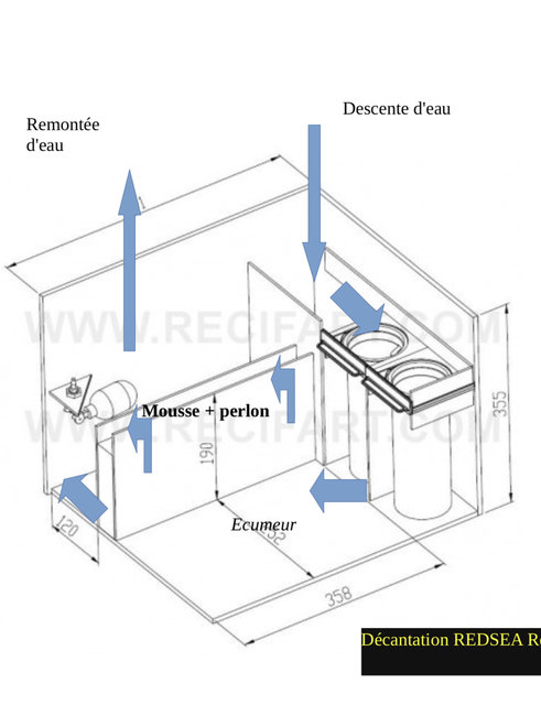 décantation reefer 250 REDSEA.jpg