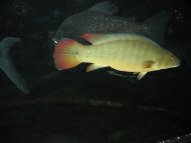 img0081yr8.jpg