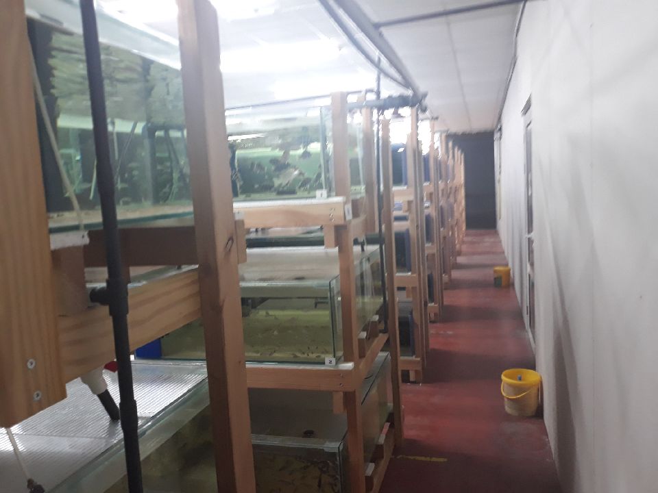 1AD4C082-D012-46BA-8FCA-BEDAE7037F77.jpeg