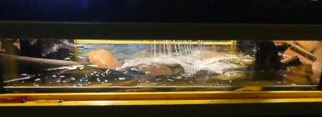 P1100283.JPG