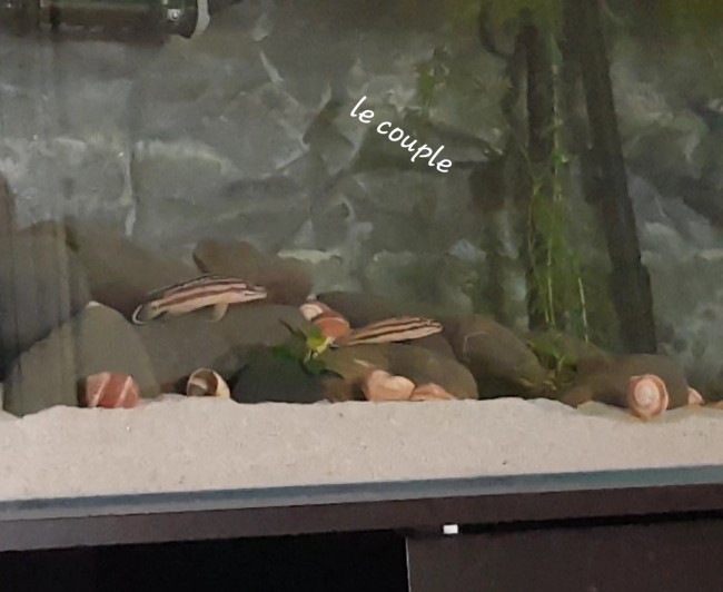 20201223_090330.jpg
