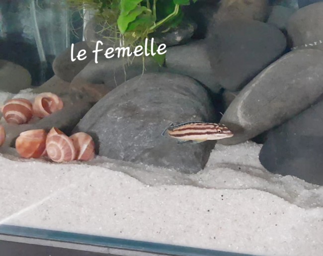 20201223_090512.jpg