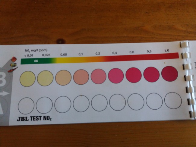 20201228_102232.jpg