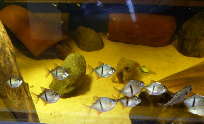 P1100805.JPG
