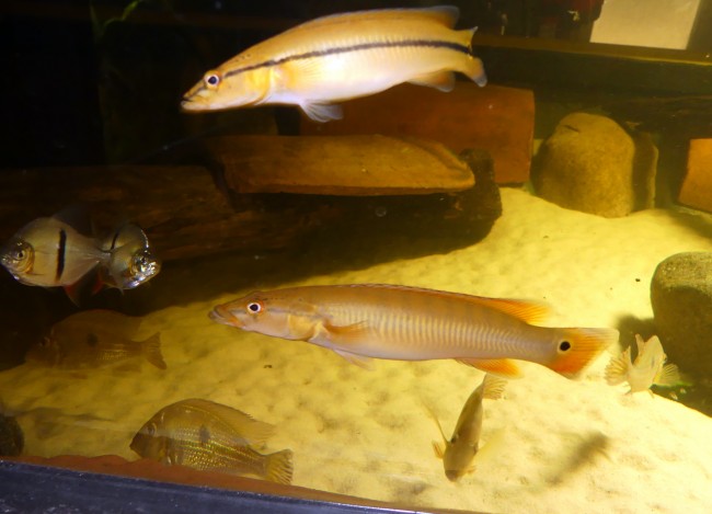P1110832.JPG