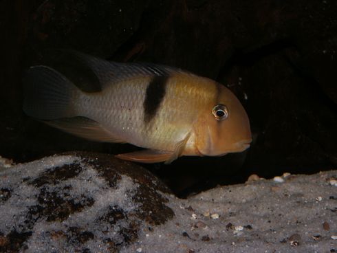 PICT2251.JPG