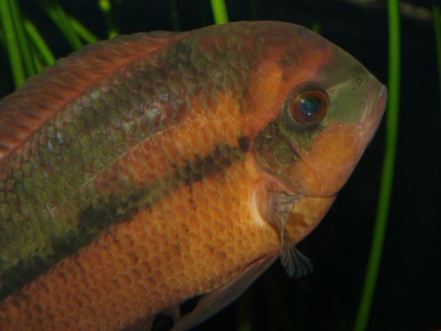 P1180910R.JPG