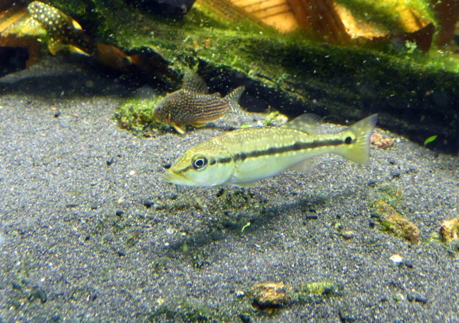 P1150062.JPG