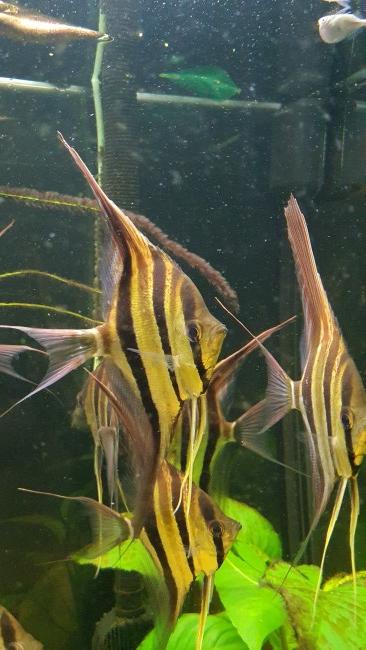 20210315_202041.jpg