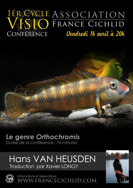 conf-Orthochromis.jpg