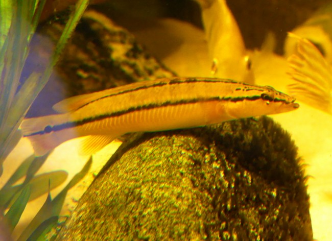 P1160249.JPG