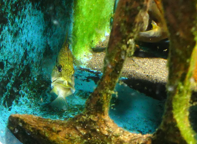 P1160548.JPG