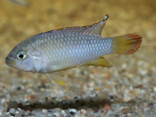 PICT2526.jpg