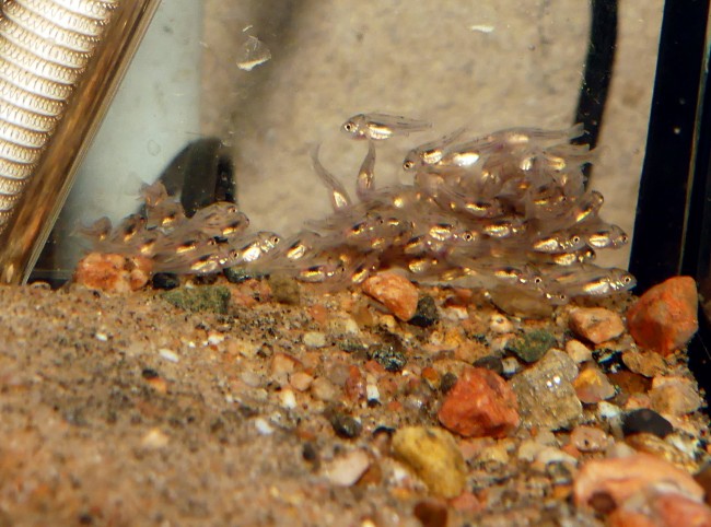 P1160888.JPG