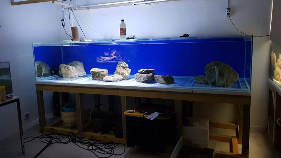 received_289711869623570.jpeg
