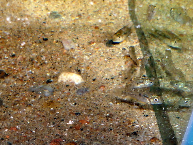P1190434.JPG